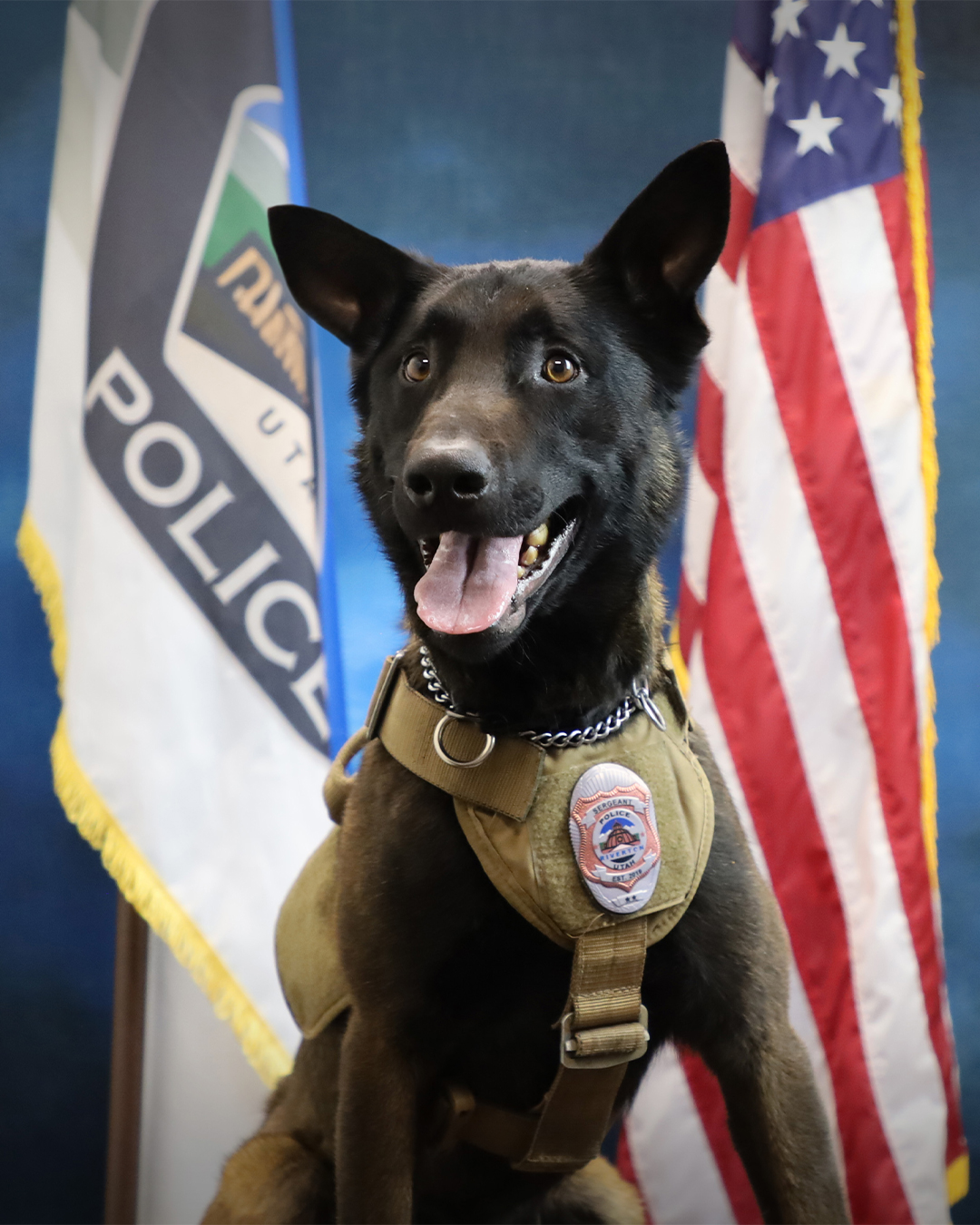 Ayuda a darle un nombre al nuevo oficial canino de la policía de Riverton