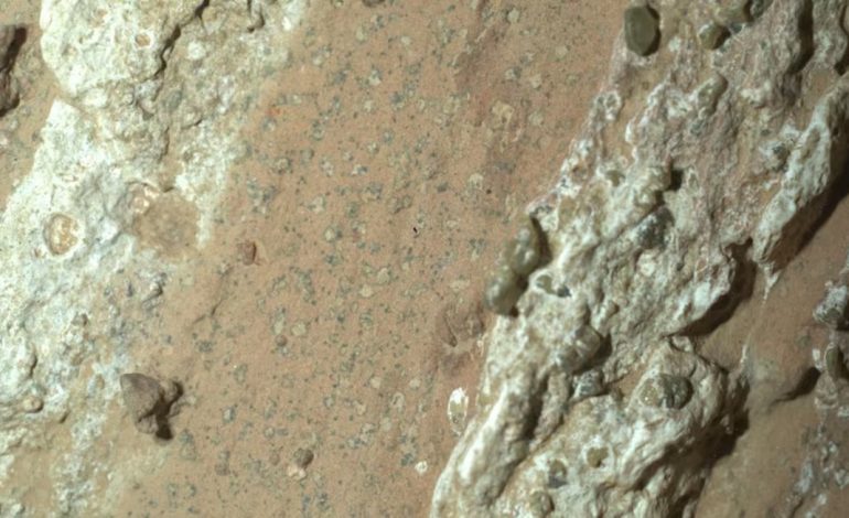Roca de Marte sugiere vida antigua, según la NASA