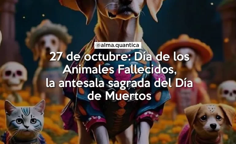Cuando las almas peludas vuelven a casa