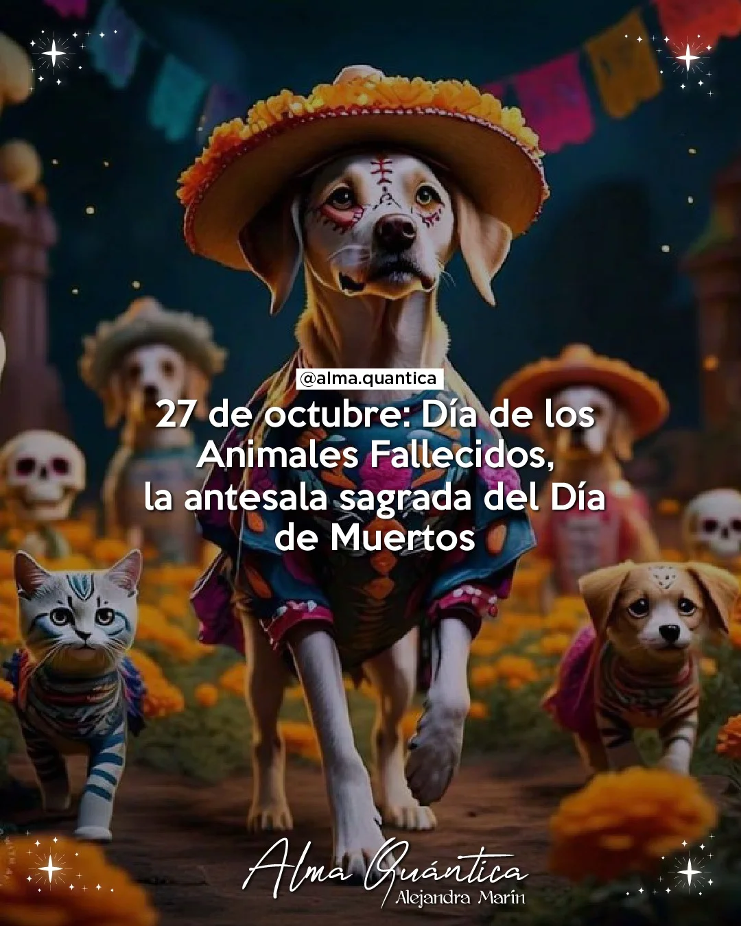 Cuando las almas peludas vuelven a casa