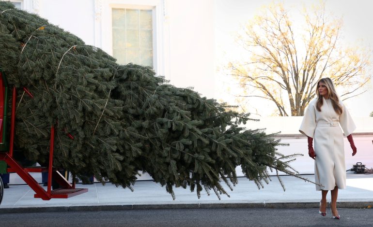 El árbol navideño ya está en la Casa Blanca