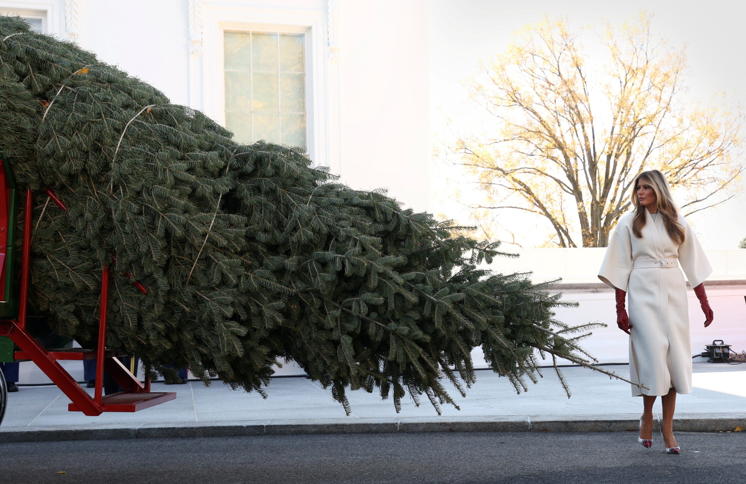 El árbol navideño ya está en la Casa Blanca