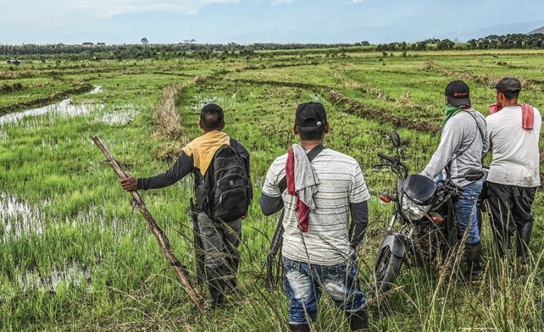 Enfrentamiento indígena en el Cauca por tierras