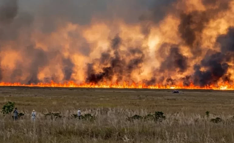 Incendio forestal en Florida queda bajo control
