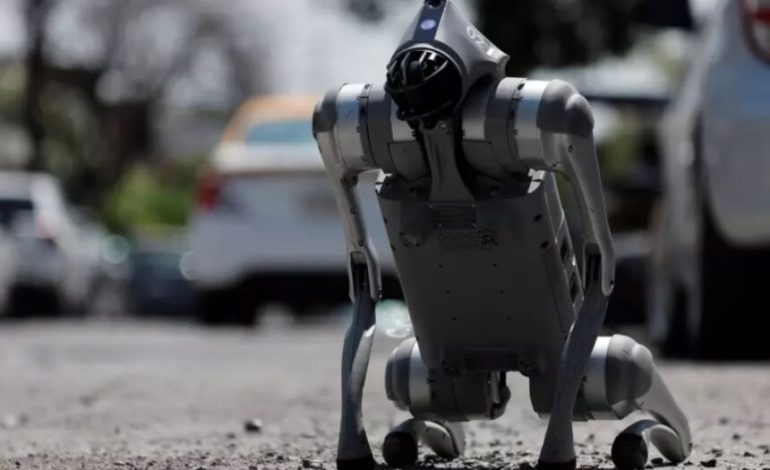 Perro vs. robot: el insólito encuentro viral en una escuela de Tamaulipas