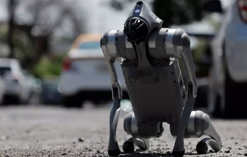 Perro vs. robot: el insólito encuentro viral en una escuela de Tamaulipas