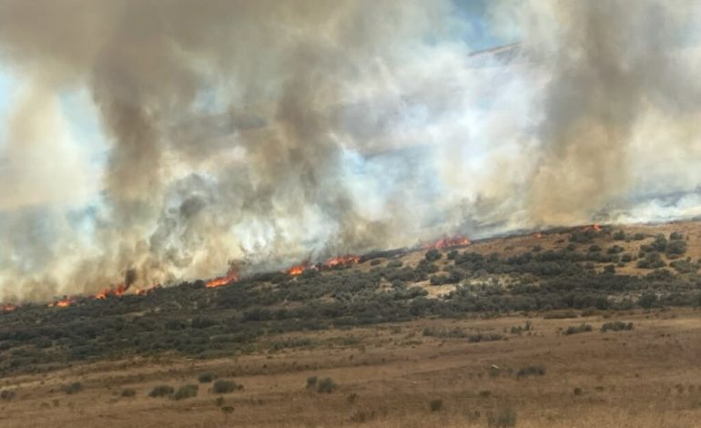 Incendio amenaza estructuras en Box Elder